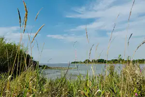 Campingplatz Elbinsel Lühesand - Blick durch Gräser auf die Elbe