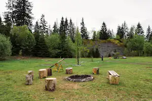Feuerstelle mit Holzscheiten und Sitzstuehlen aus Baumstuecken auf einer Wiese, umgeben von Baeumen im Wald.