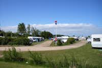 Campingplatz Fördeblick - Stellplätze auf dem Campingplatz an der Ostsee