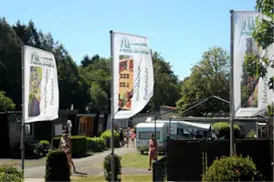 Eingang eines Campingplatzes mit mehreren Werbefahnen, Wegen und Wohnwagen im Hintergrund zwischen Bäumen und Hecken.
