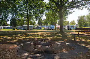 Campingplatz mit Stellplätzen, Wohnwagen und Autos, Rasenfläche und Baum im Vordergrund sowie Grillstelle mit Steinen und Pflaster.