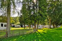 Campingplatz Fuldaschleife - Wohnmobil- und  Wohnwagenstellplätze im Schatten der Bäume