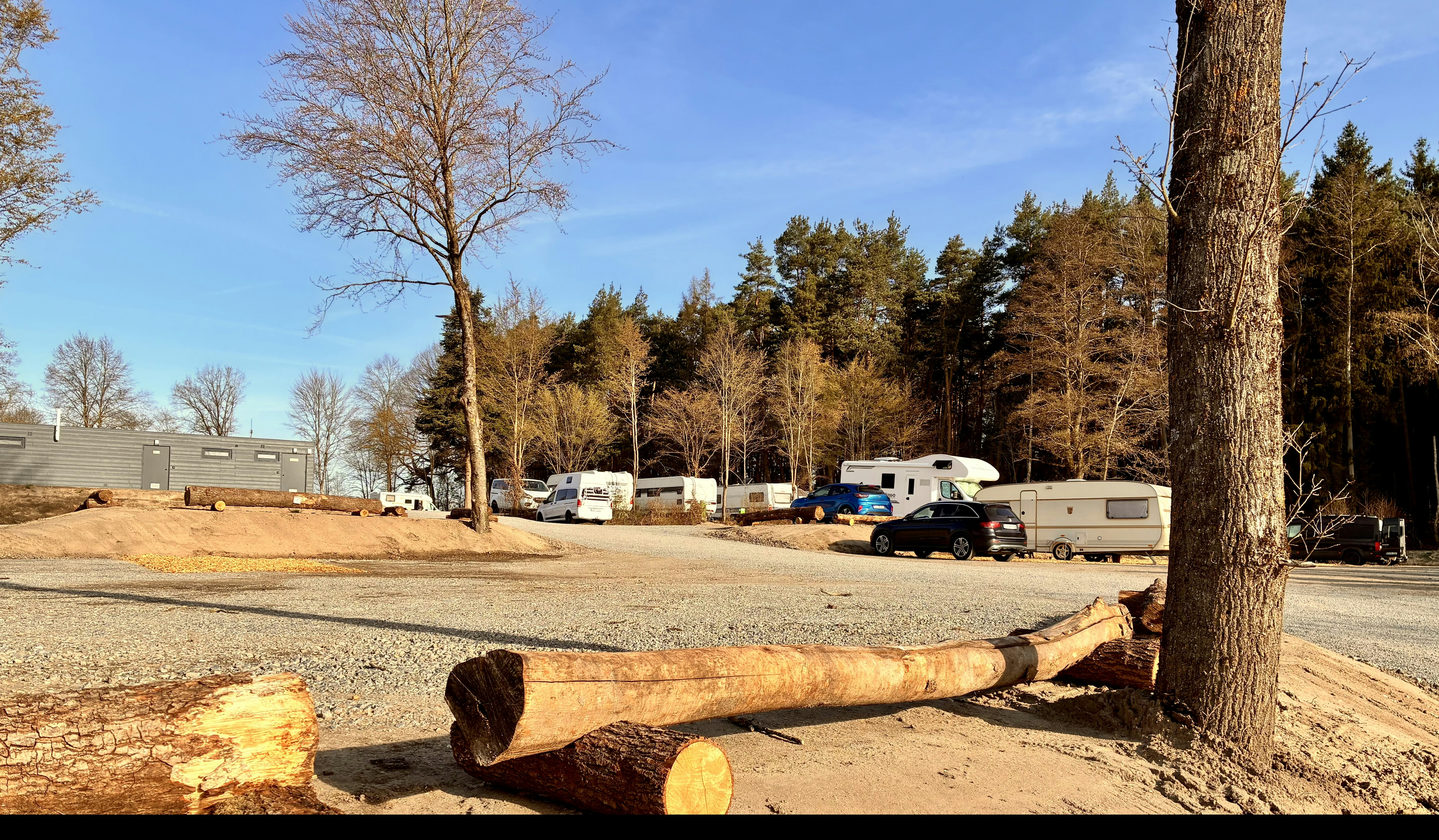 Campingplatz mit Stellplätzen, Wohnwagen und Wohnmobilen, Holzstämmen am Boden und Bäumen entlang des Weges.