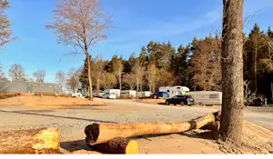 Campingplatz mit Stellplätzen, Wohnwagen und Wohnmobilen, Holzstämmen am Boden und Bäumen entlang des Weges.
