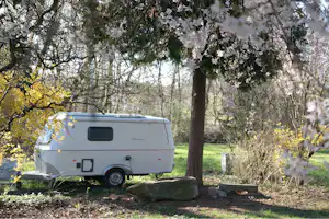 Wohnwagen auf einem Campingplatz-Stellplatz im Grünen, neben Bäumen und mit Grasfläche im Vordergrund.