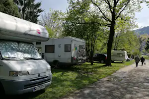 Campingplatz Grein - Stellplatz vom Campingplatz auf grüner Wiese