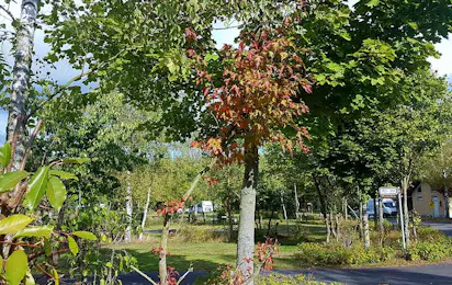 Campingplatz Großer Schachtsee