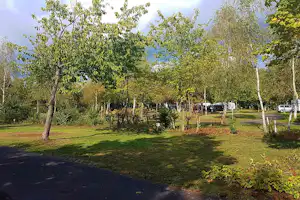 Grüne Campinganlage mit Rasen, jungen Bäumen und Wegen, im Hintergrund geparkte Autos und Wohnwagen.