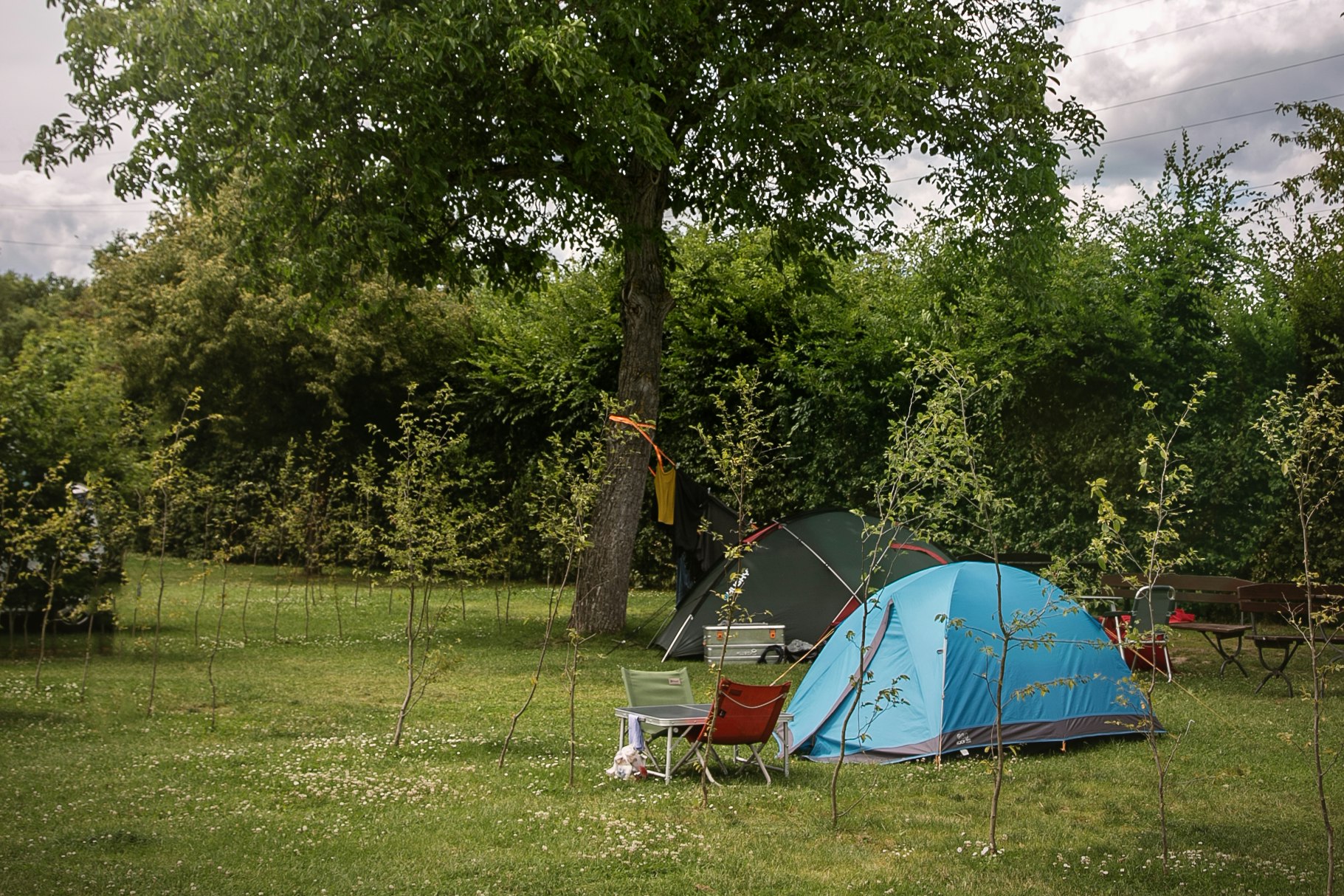 Blaues Campingzelt auf einer Wiese, daneben Campingstühle und Tisch, großer Baum im Hintergrund.