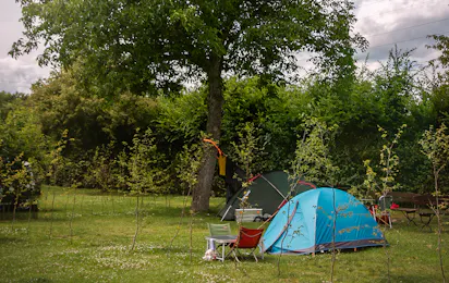 Campingplatz Gülser Moselbogen