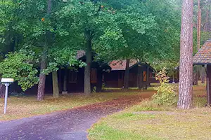 Campingplatz Heide-Camp - Mobilheime vom Campingplatz zwischen Bäumen