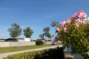 Campingplatz Heidkoppel - Wohnwagen- und Zeltstellplatz vom Campingplatz auf grüner Wiese zwischen Bäumen