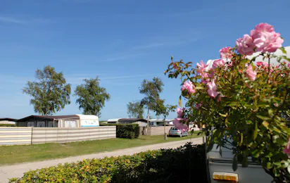 Campingplatz Heidkoppel