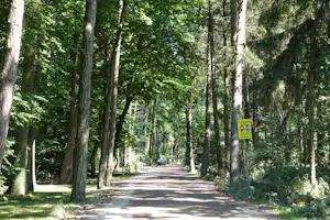 Campingplatz Heidkoppel - Straße vom Campingplatz durch ein Waldstück