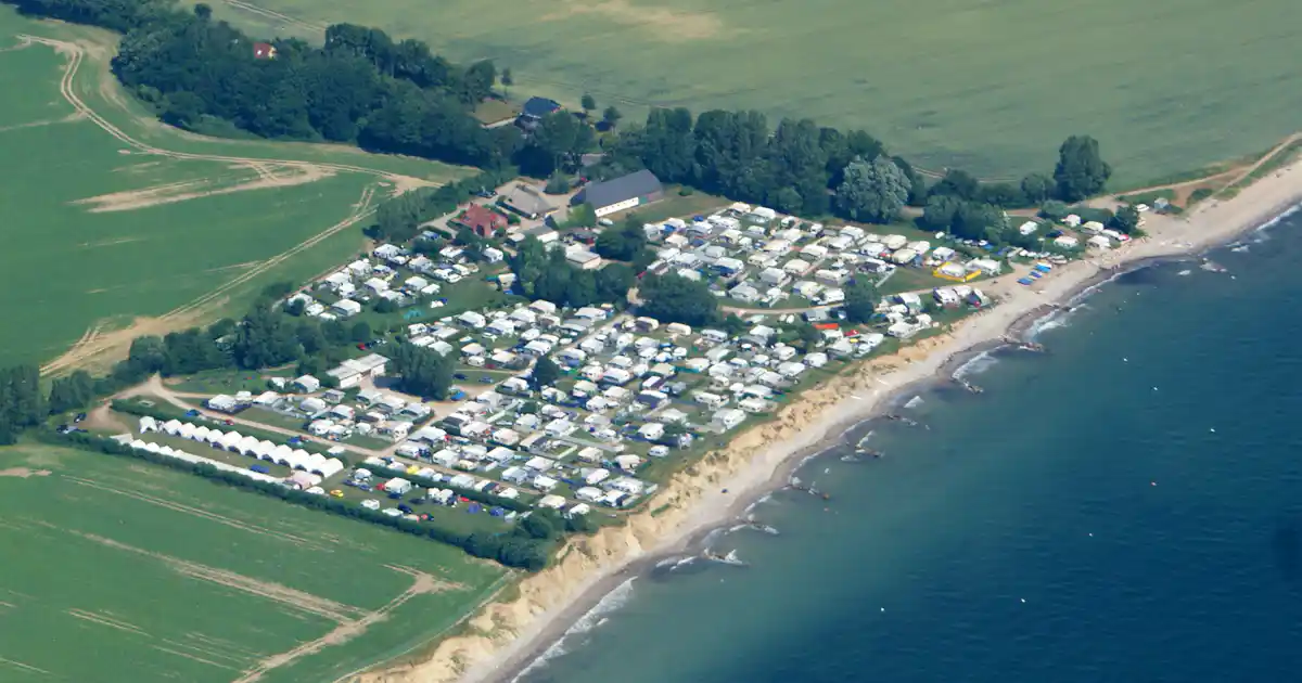 Hökholz