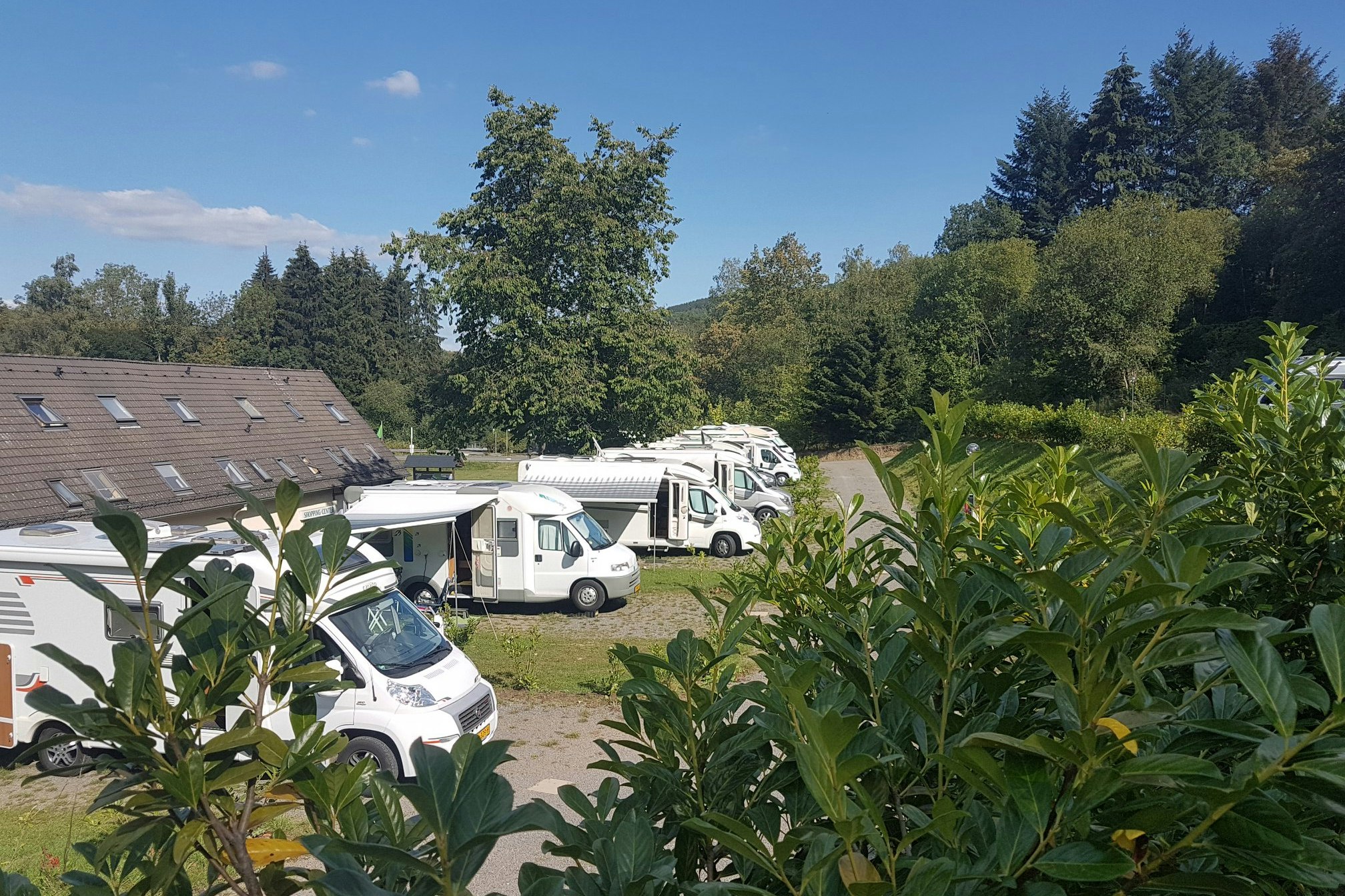 Campingplatz Hof Biggen - Standplätze durch kleine Sträucher getrennt