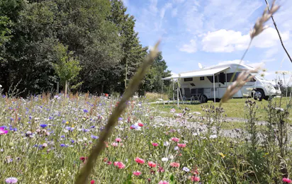 Campingplatz Hof Biggen