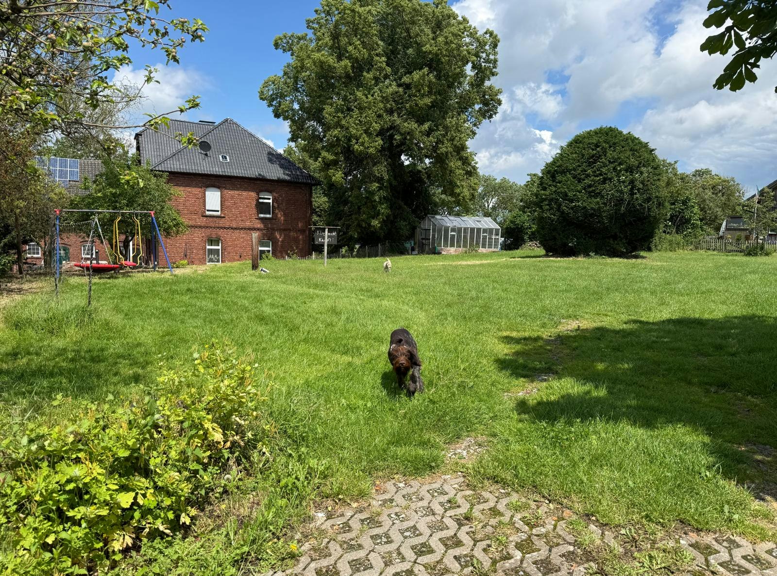 Hund auf der grünen Wiese vor einem Backsteinhaus mit Solarpanel, Spielgeräten und Gewächshaus im Garten.