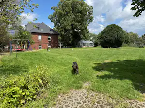 Hund auf der grünen Wiese vor einem Backsteinhaus mit Solarpanel, Spielgeräten und Gewächshaus im Garten.