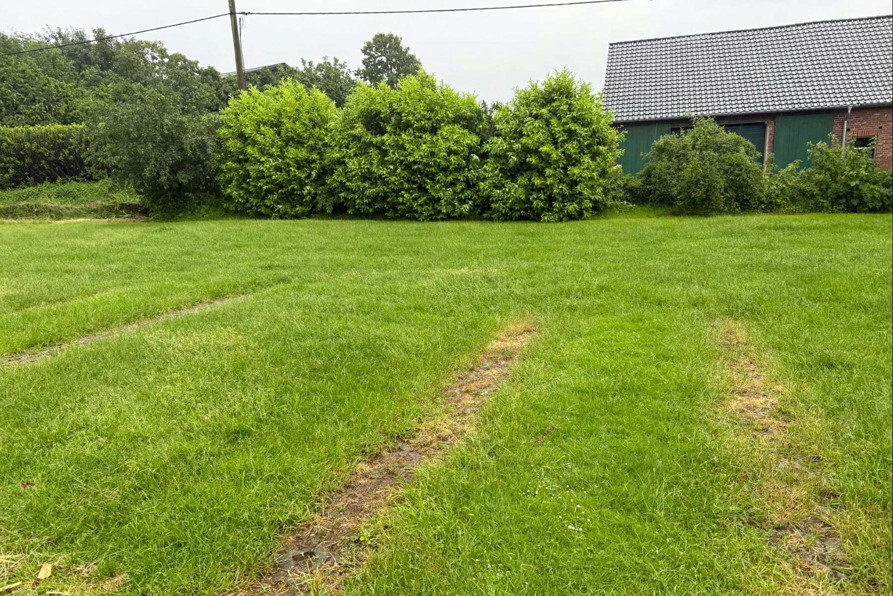 Grünes Rasenstück am Campingplatz mit schmalem Weg, Hecken und einem Gebäude am Rand.