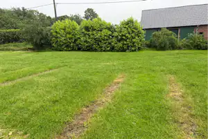 Grünes Rasenstück am Campingplatz mit schmalem Weg, Hecken und einem Gebäude am Rand.