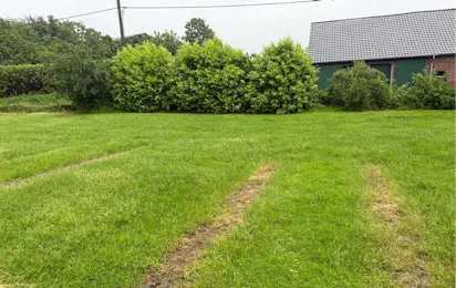 Campingplatz Hof-Dahlhoff