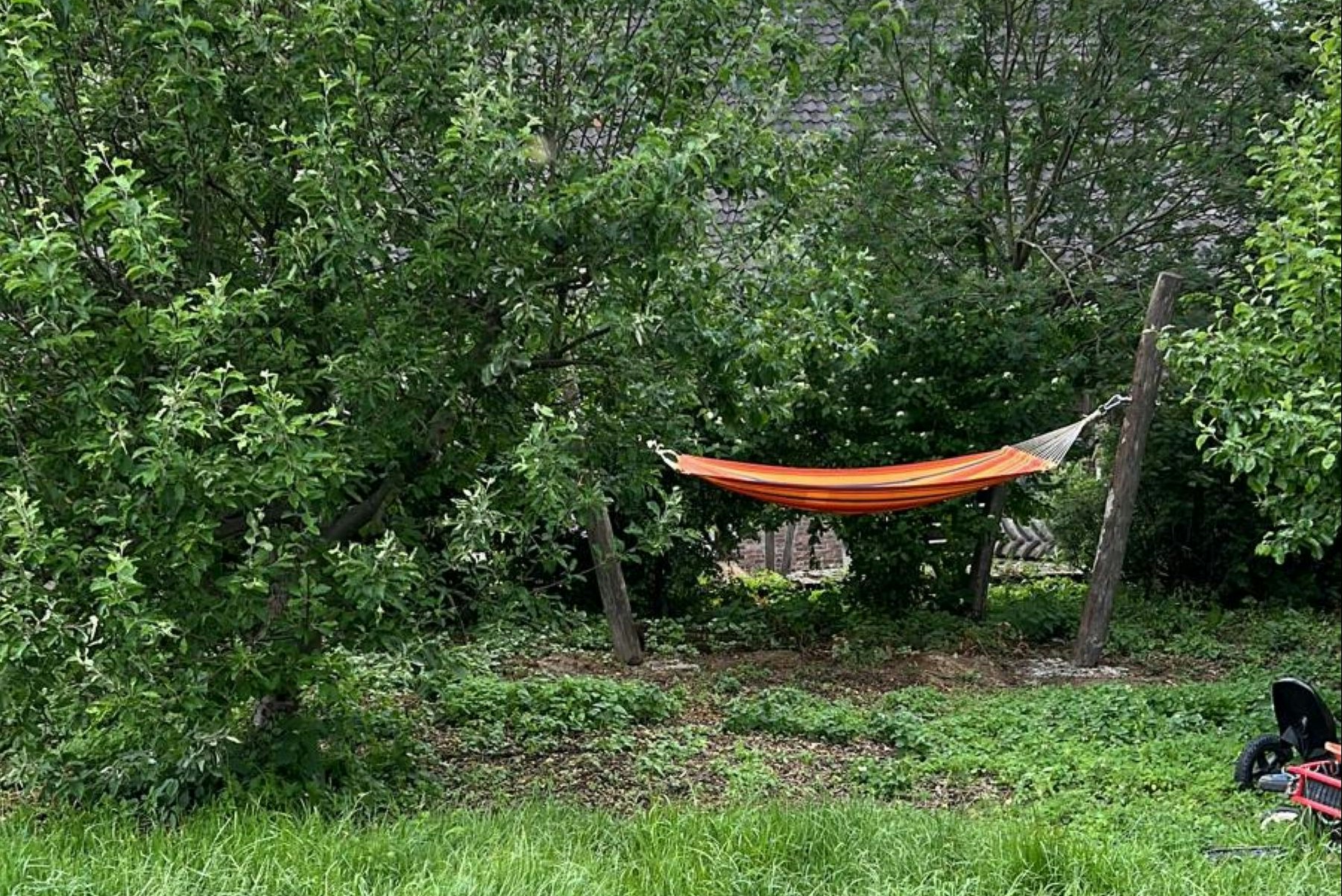 Orangefarbene Hängematte zwischen Bäumen im grünen Campinggarten, mit Grasboden und Steinmauer im Hintergrund.