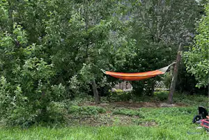 Orangefarbene Hängematte zwischen Bäumen im grünen Campinggarten, mit Grasboden und Steinmauer im Hintergrund.