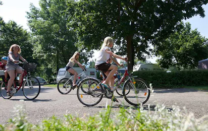 Campingplatz Horn