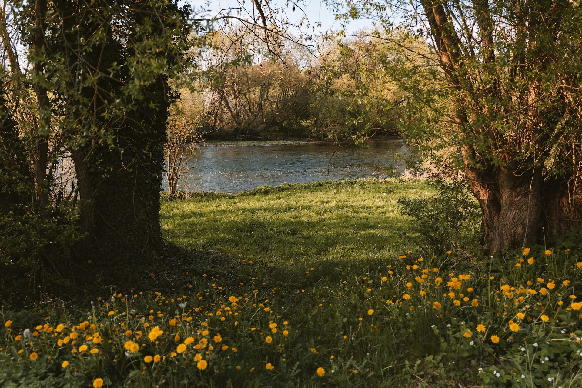 Campingplatz Ideal - Blick auf den See umgeben von Wald und Wiese