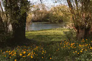Campingplatz Ideal - Blick auf den See umgeben von Wald und Wiese