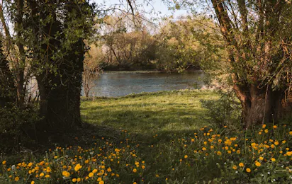 Friday im Edertal - Naturcampingplatz