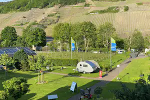 Wohnwagen auf dem Campingplatz, gepflasterter Weg und Bäume, im Hintergrund Weinberge am Hang.