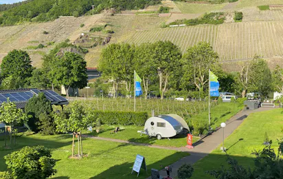 Campingplatz Im Grünen (Trittenheim)