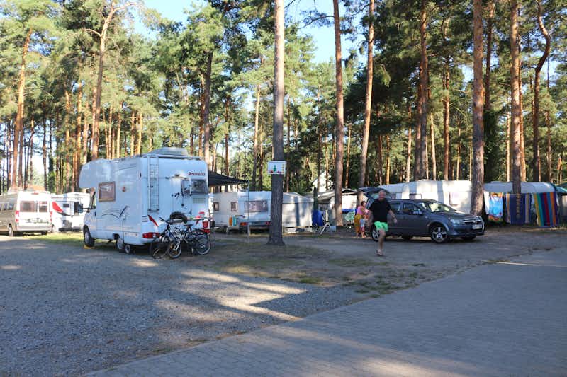 Campingplatz Am Motzener See  Campingplatz Kallinchen am Motzener See - Wohnmobil- und  Wohnwagenstellplätze im Schatten der Bäume