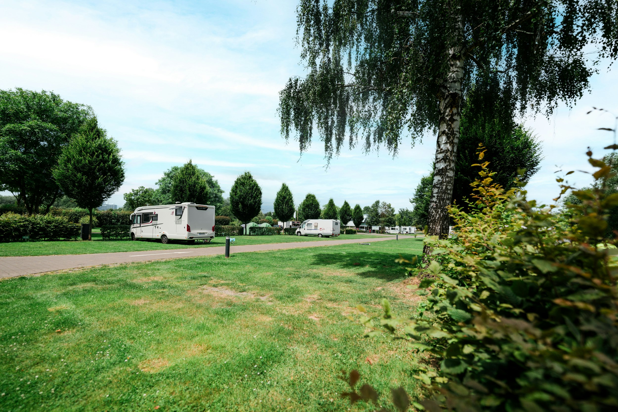 Campingplatz Kassel - Standplatzwiese auf dem Campingplatz