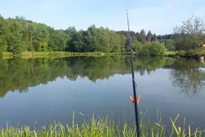 Ruderboot-Stange am Campingsee, ruhiges Wasser mit Spiegelung, im Hintergrund grüner Wald und Uferböschung.