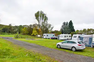 Wohnmobile und Campingbusse auf einem Stellplatz, davor ein Auto, im Hintergrund Bäume und ein grüner Rasen.