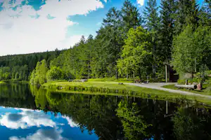Campingplatz Langenwald - Blick auf Angelsee in der Umgebung vom Campingplatz