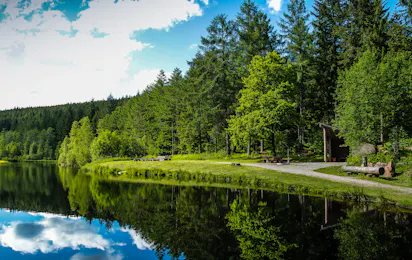Natur-Camping Langenwald
