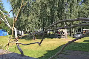Campingplatz Lassan - Stellplätze und Zeltwiese im Grünen auf dem Campingplatz