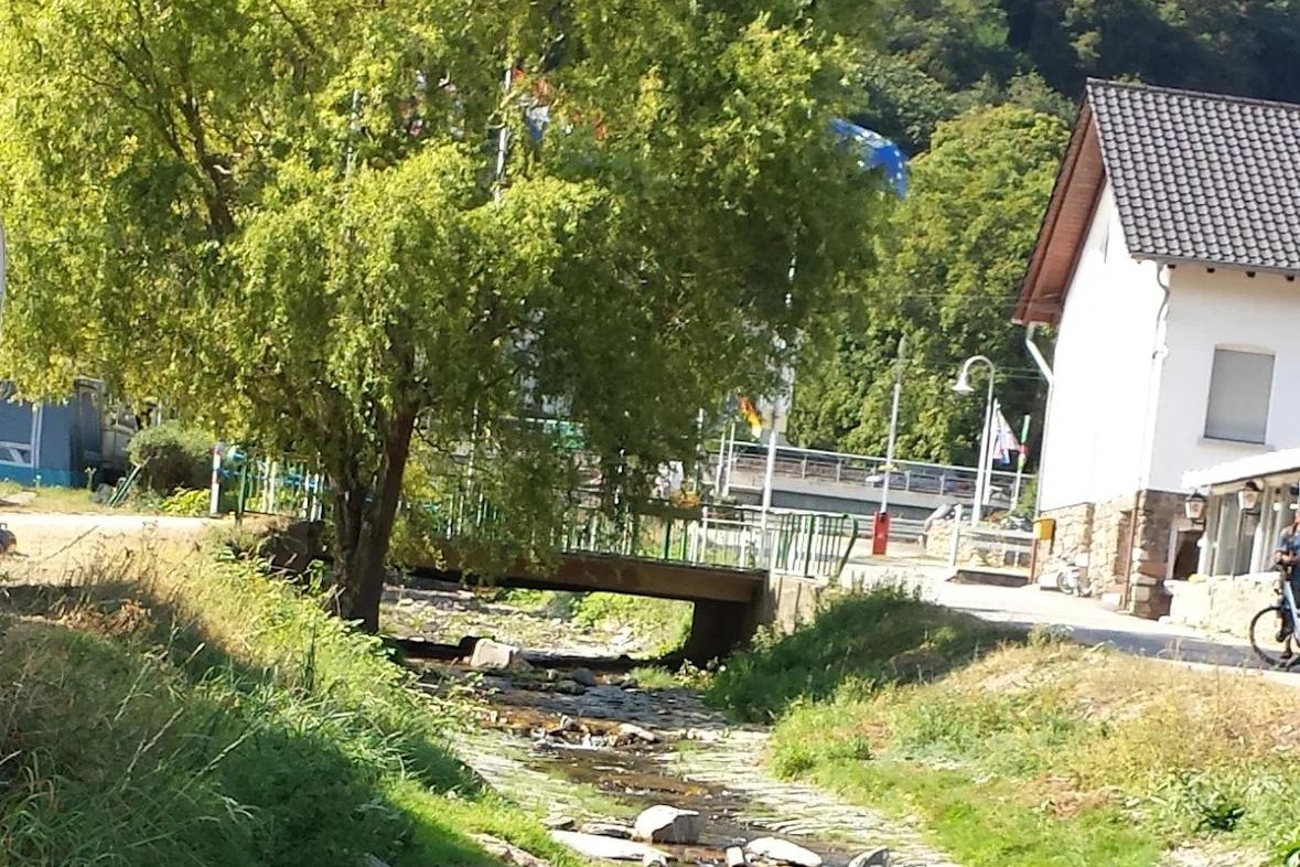 Bachlauf am Campingplatz mit Steinen und Gras, im Hintergrund Gebäude und Terrasse am Haus, umgeben von Bäumen.