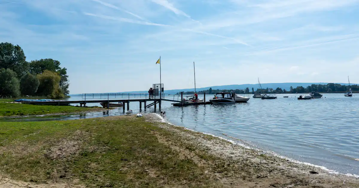 Markelfingen photo 3