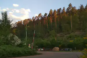 Campingplatz mit Zelt am Waldrand, hohe Kiefern im Hintergrund und Himmel mit Wolken.