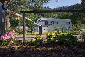 Mosel Islands Camping - Einfahrt des Campingplatzes
