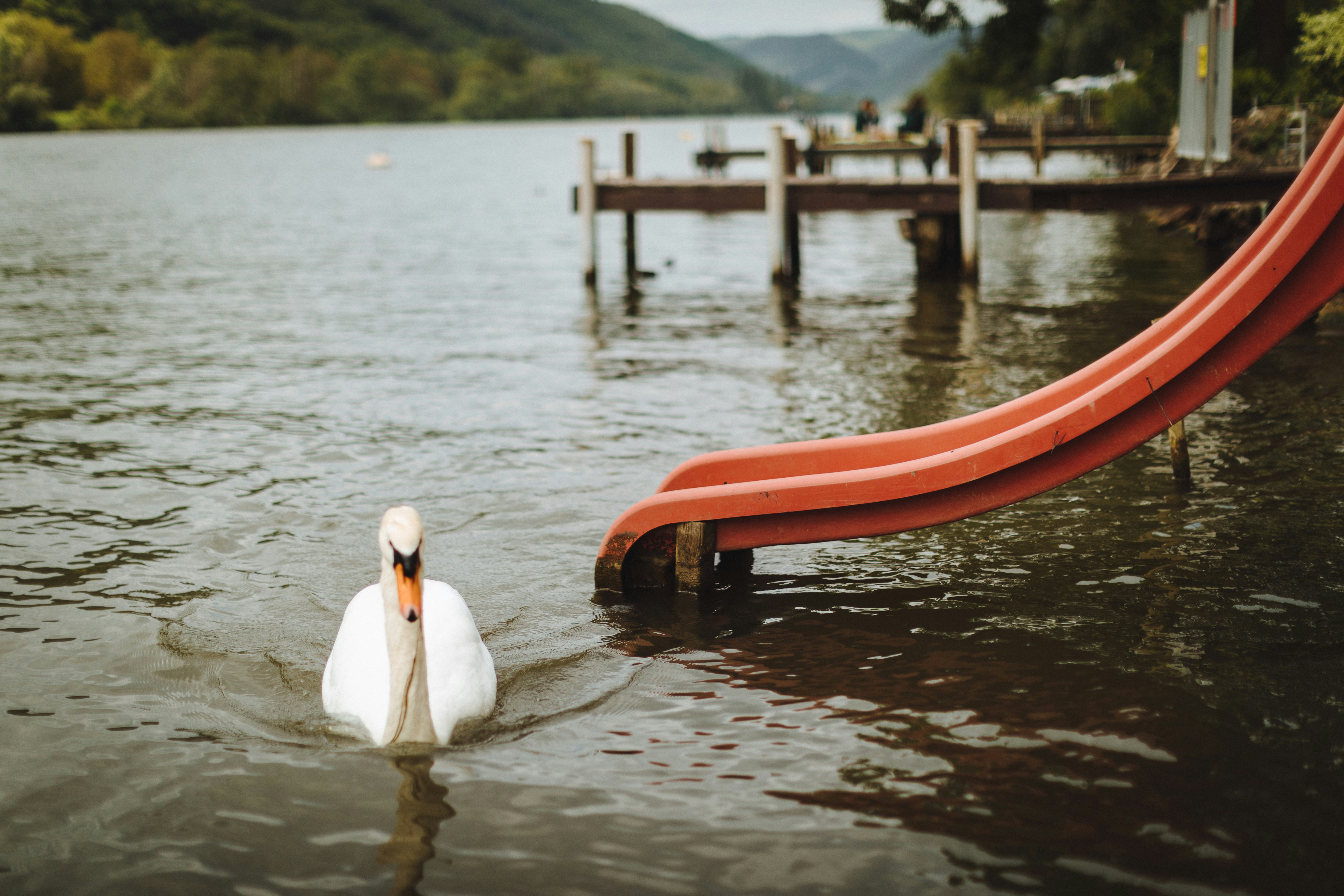 Campingplatz Mosel Wunder - Rutsche in den Fluss am Campingplatz