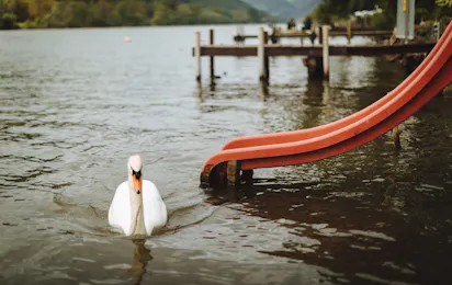 Campingplatz Mosel Wunder