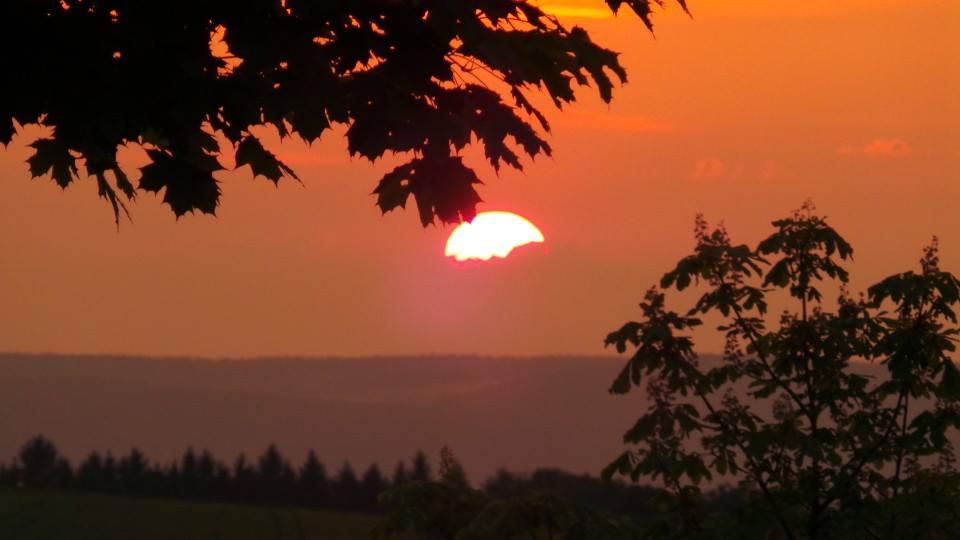 Campingplatz Moselhöhe