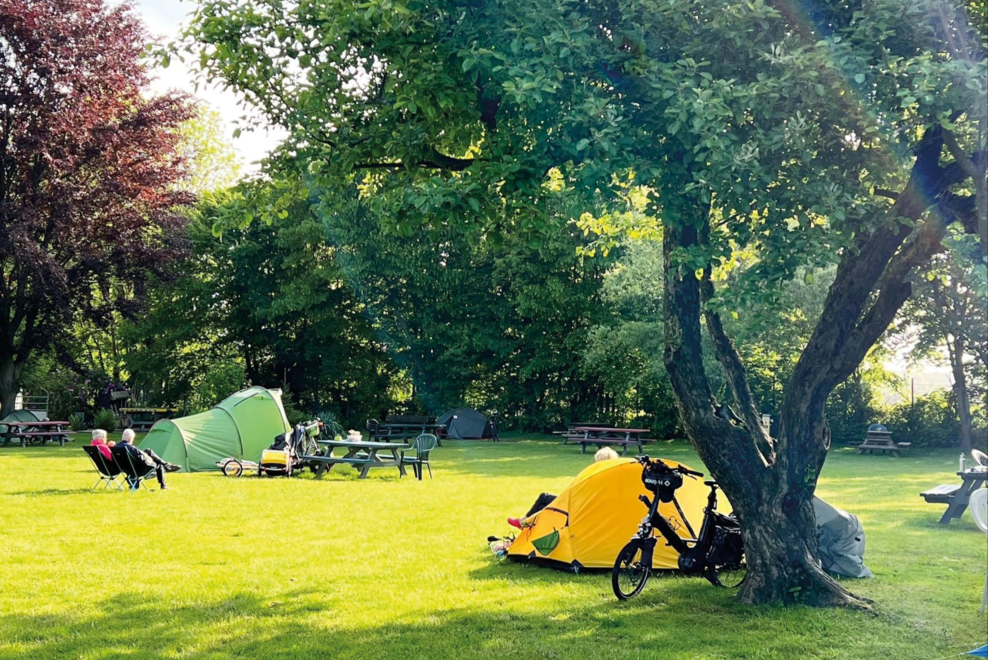 Campingplatz Münster - Zeltwiese auf dem Campingplatz