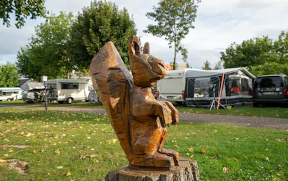 Campingplatz Münsterblick Breisach